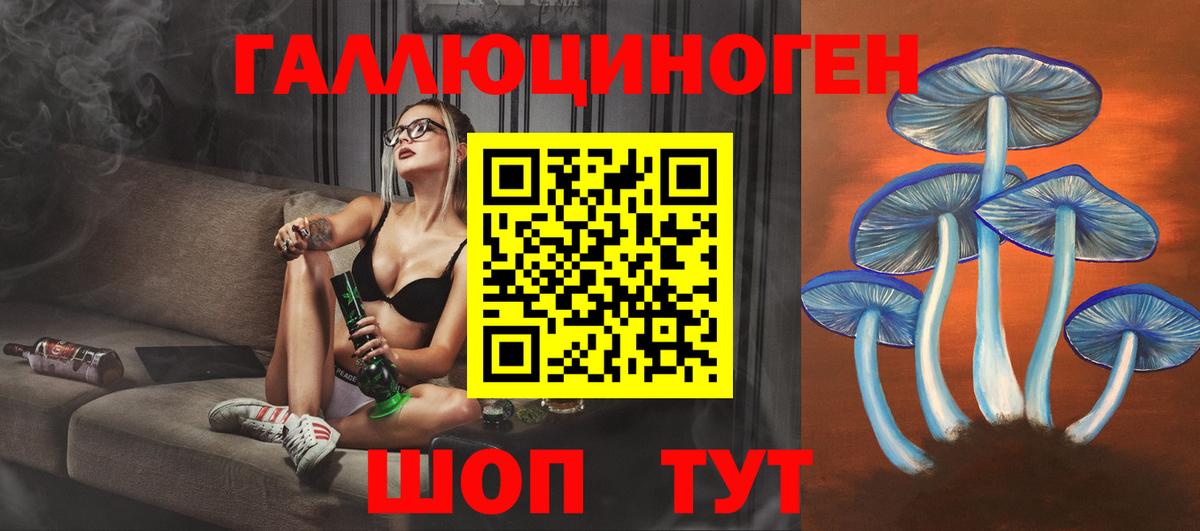 Серов  Псилоцибиновые грибы Psilocybe  Вход с VPN 
